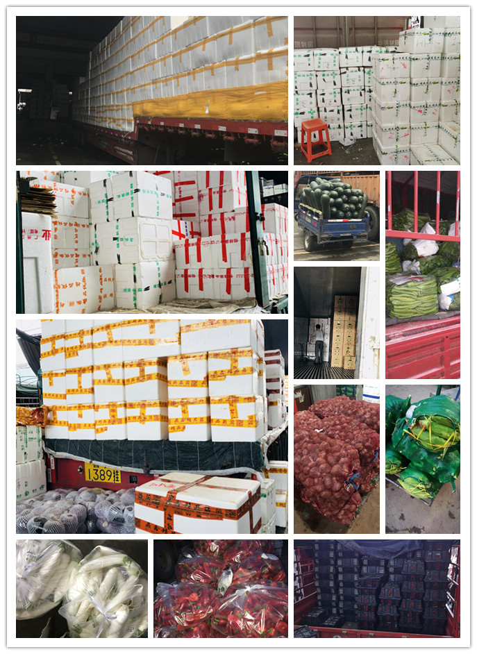 赏金船主·PG(中国游)官方网站