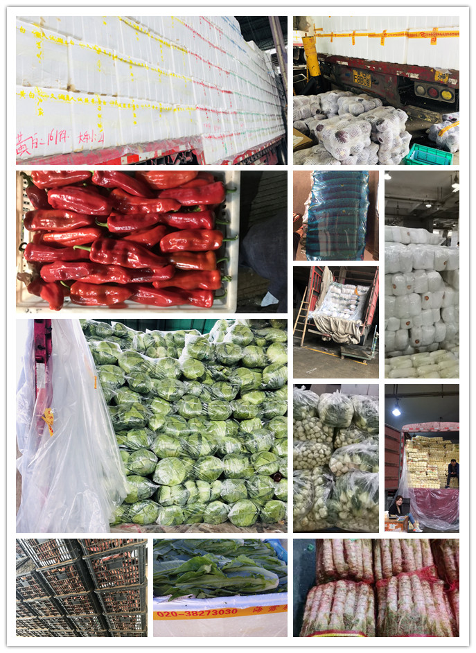 赏金船主·PG(中国游)官方网站