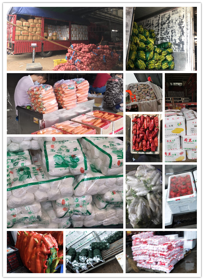 赏金船主·PG(中国游)官方网站