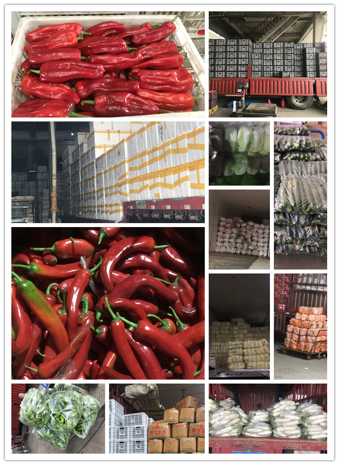 赏金船主·PG(中国游)官方网站