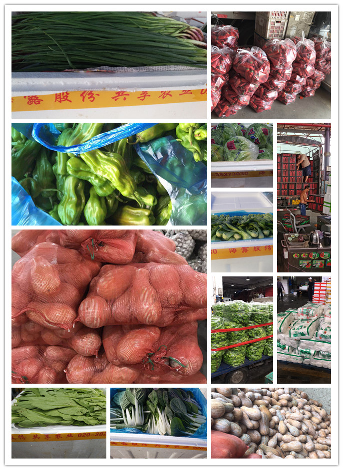 赏金船主·PG(中国游)官方网站