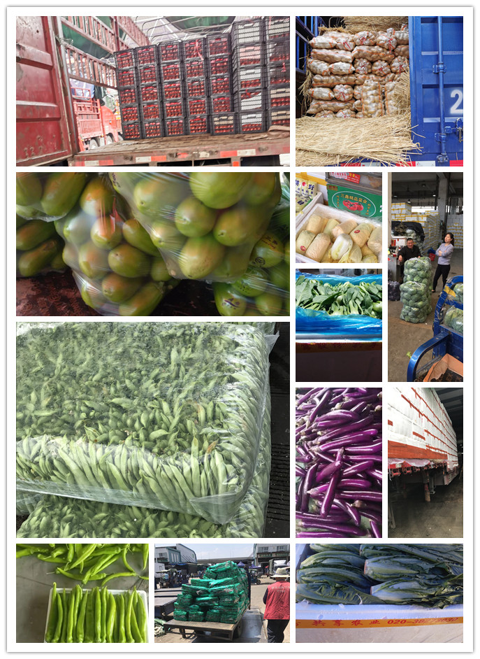 赏金船主·PG(中国游)官方网站