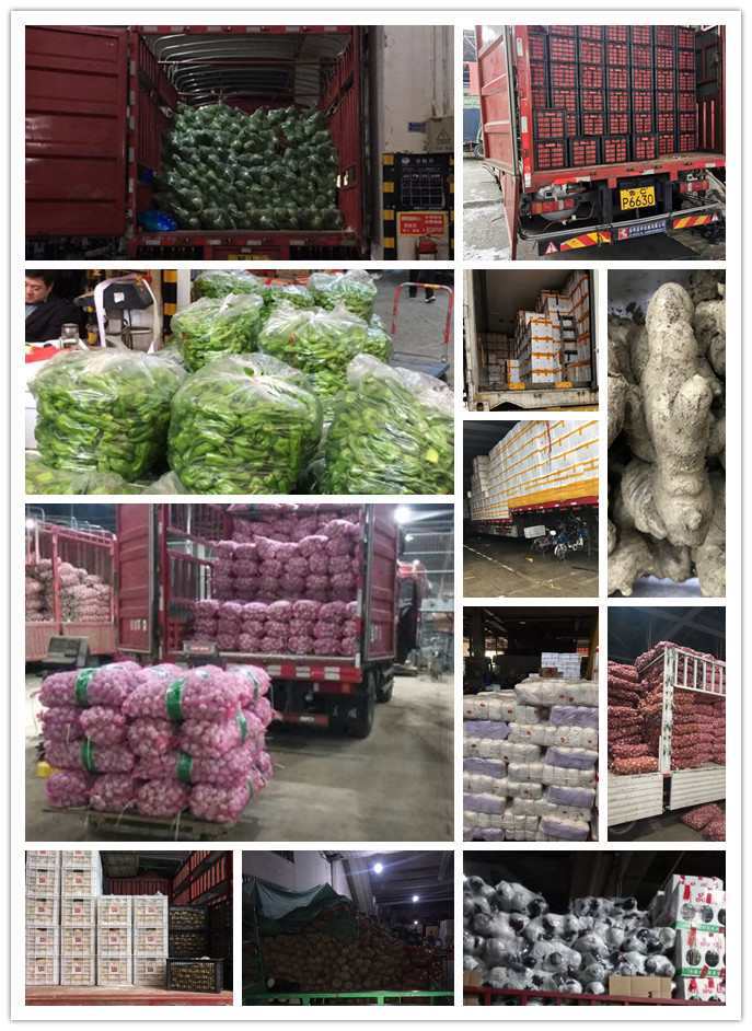 赏金船主·PG(中国游)官方网站