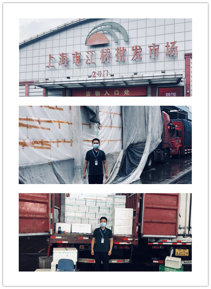 赏金船主·PG(中国游)官方网站