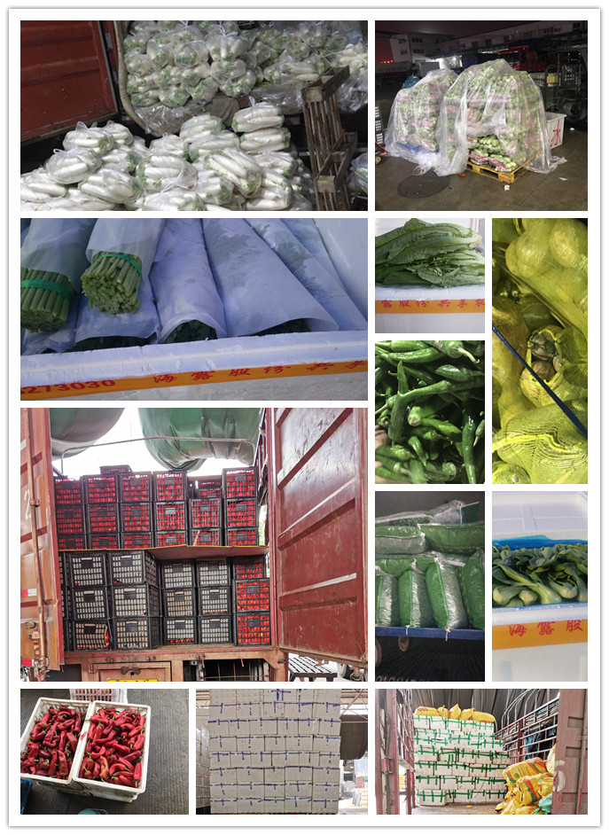 赏金船主·PG(中国游)官方网站