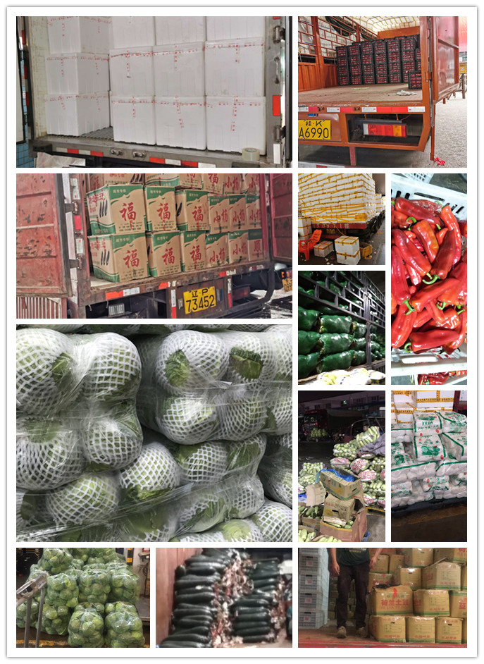 赏金船主·PG(中国游)官方网站