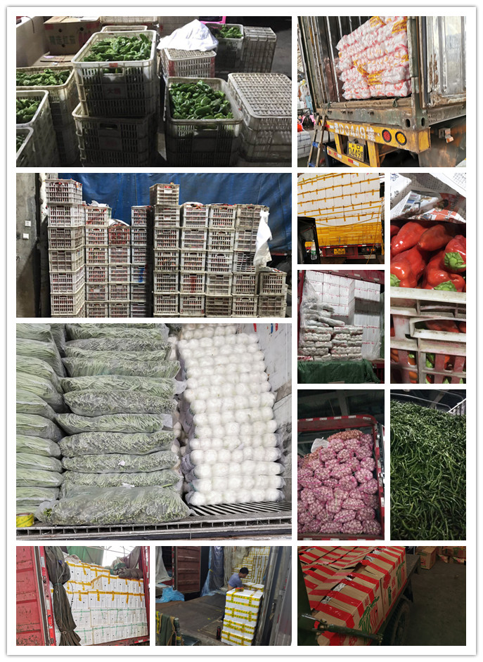 赏金船主·PG(中国游)官方网站