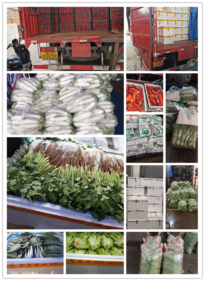 赏金船主·PG(中国游)官方网站