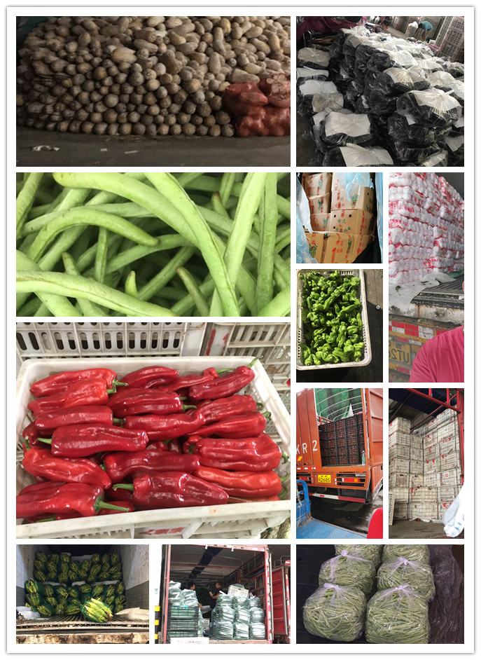 赏金船主·PG(中国游)官方网站