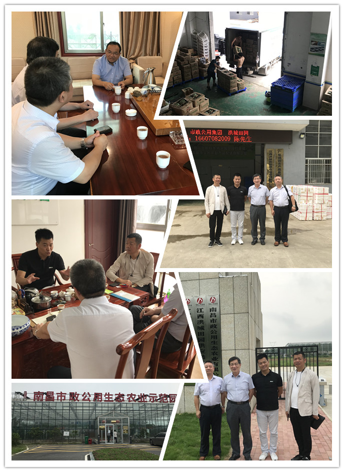 赏金船主·PG(中国游)官方网站