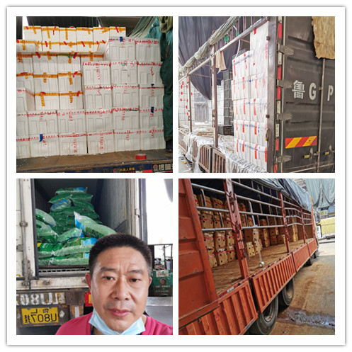 赏金船主·PG(中国游)官方网站