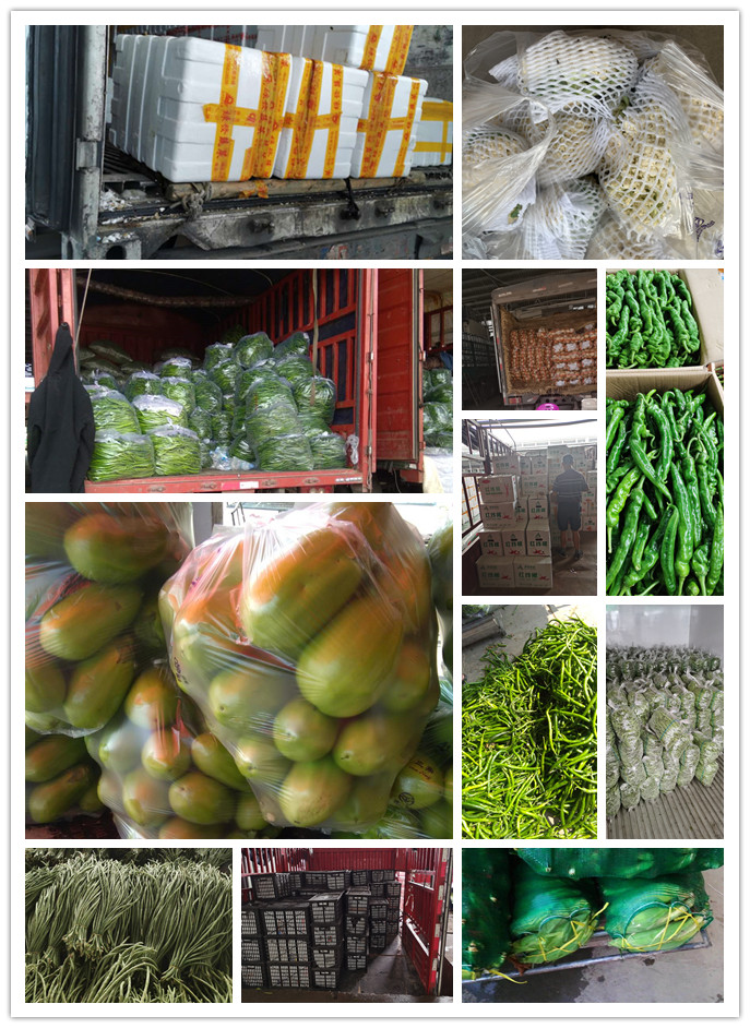 赏金船主·PG(中国游)官方网站