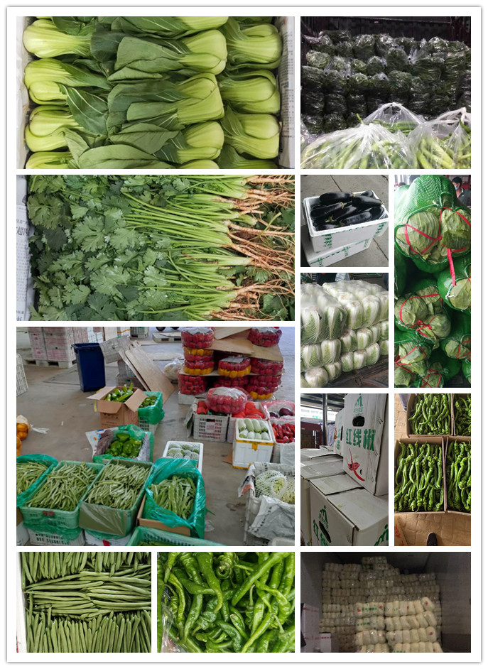 赏金船主·PG(中国游)官方网站