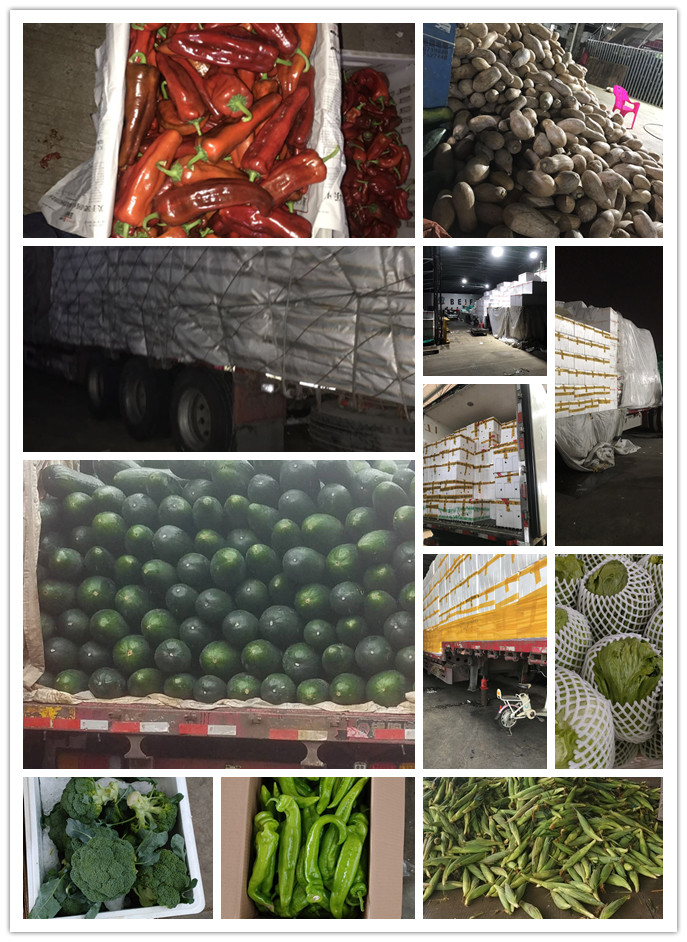 赏金船主·PG(中国游)官方网站