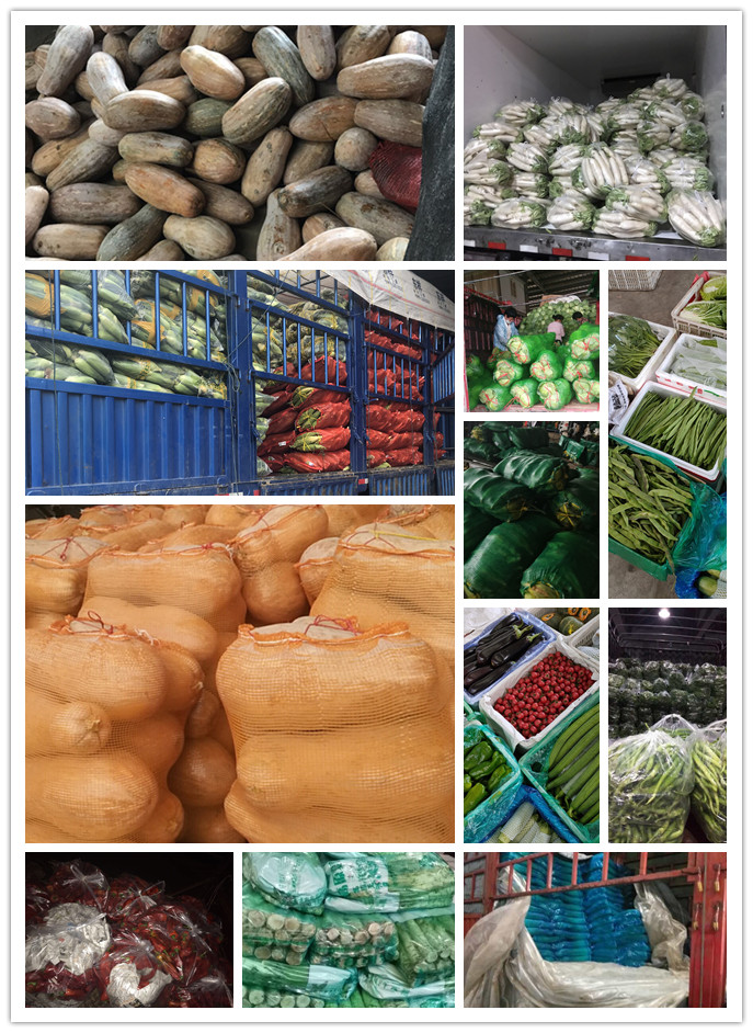 赏金船主·PG(中国游)官方网站