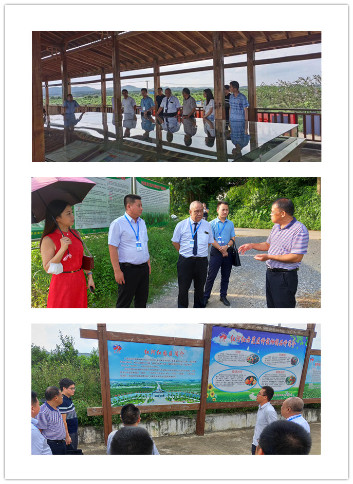 赏金船主·PG(中国游)官方网站