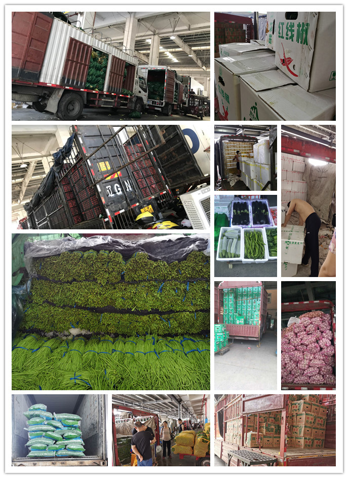 赏金船主·PG(中国游)官方网站