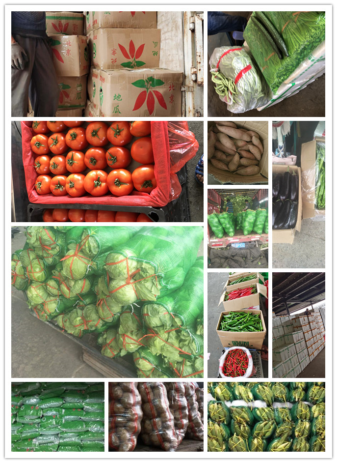 赏金船主·PG(中国游)官方网站