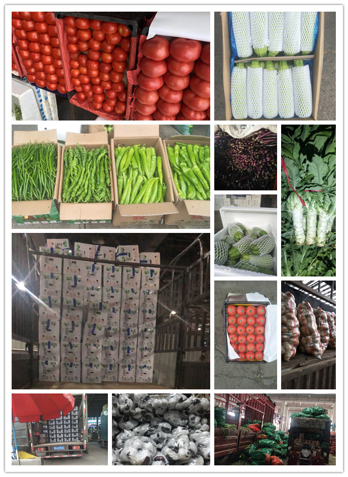 赏金船主·PG(中国游)官方网站