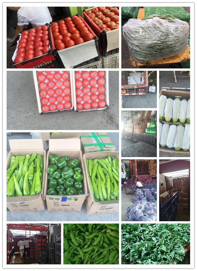 赏金船主·PG(中国游)官方网站