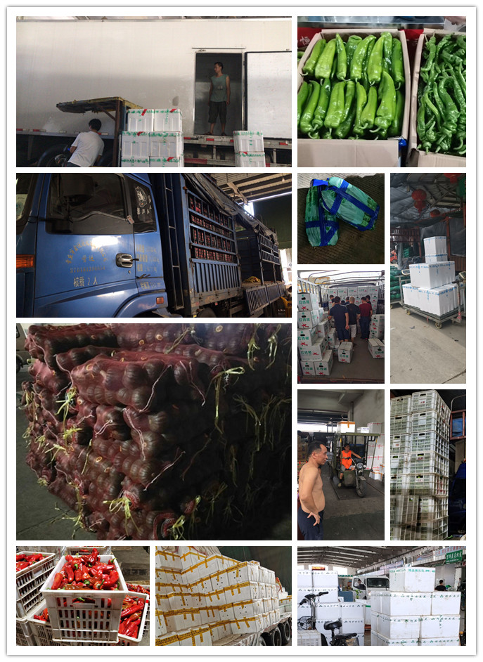 赏金船主·PG(中国游)官方网站