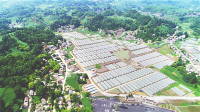 赏金船主·PG(中国游)官方网站