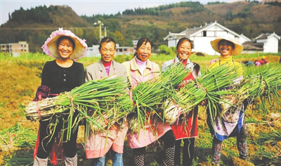 赏金船主·PG(中国游)官方网站