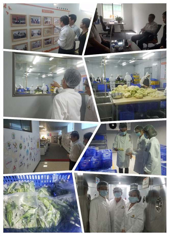 赏金船主·PG(中国游)官方网站