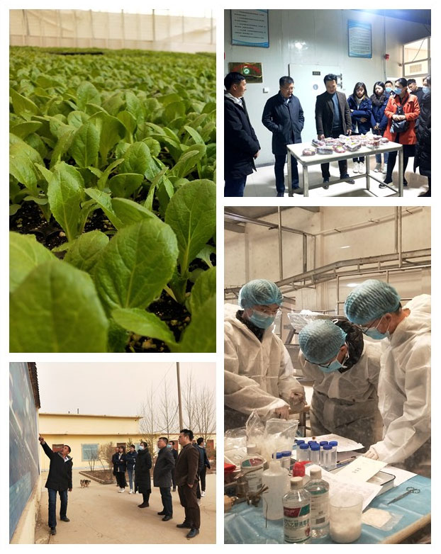 赏金船主·PG(中国游)官方网站