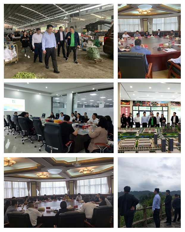 赏金船主·PG(中国游)官方网站