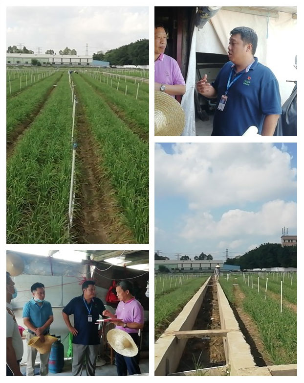 赏金船主·PG(中国游)官方网站