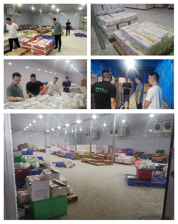 赏金船主·PG(中国游)官方网站