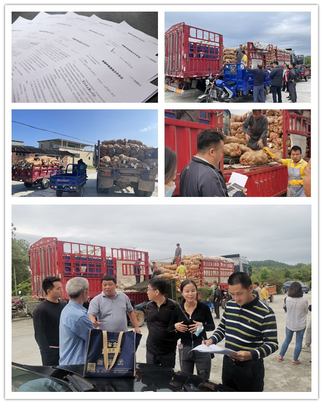 赏金船主·PG(中国游)官方网站