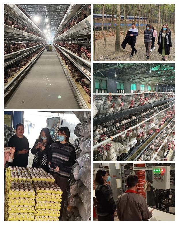 赏金船主·PG(中国游)官方网站