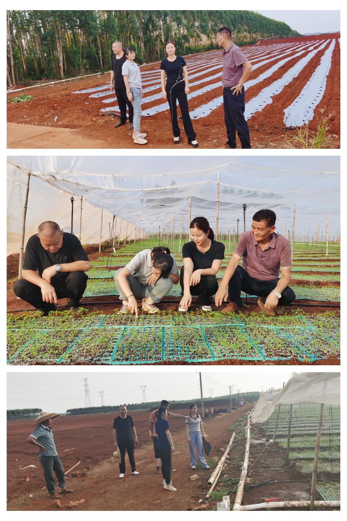 赏金船主·PG(中国游)官方网站