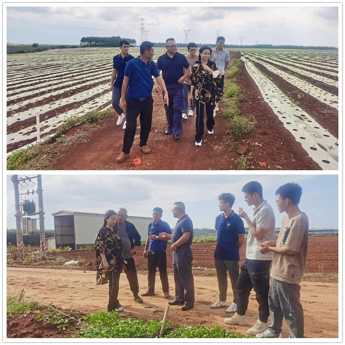 赏金船主·PG(中国游)官方网站