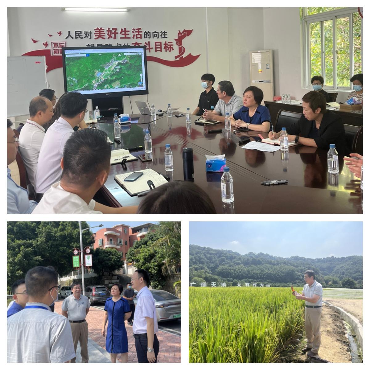 赏金船主·PG(中国游)官方网站