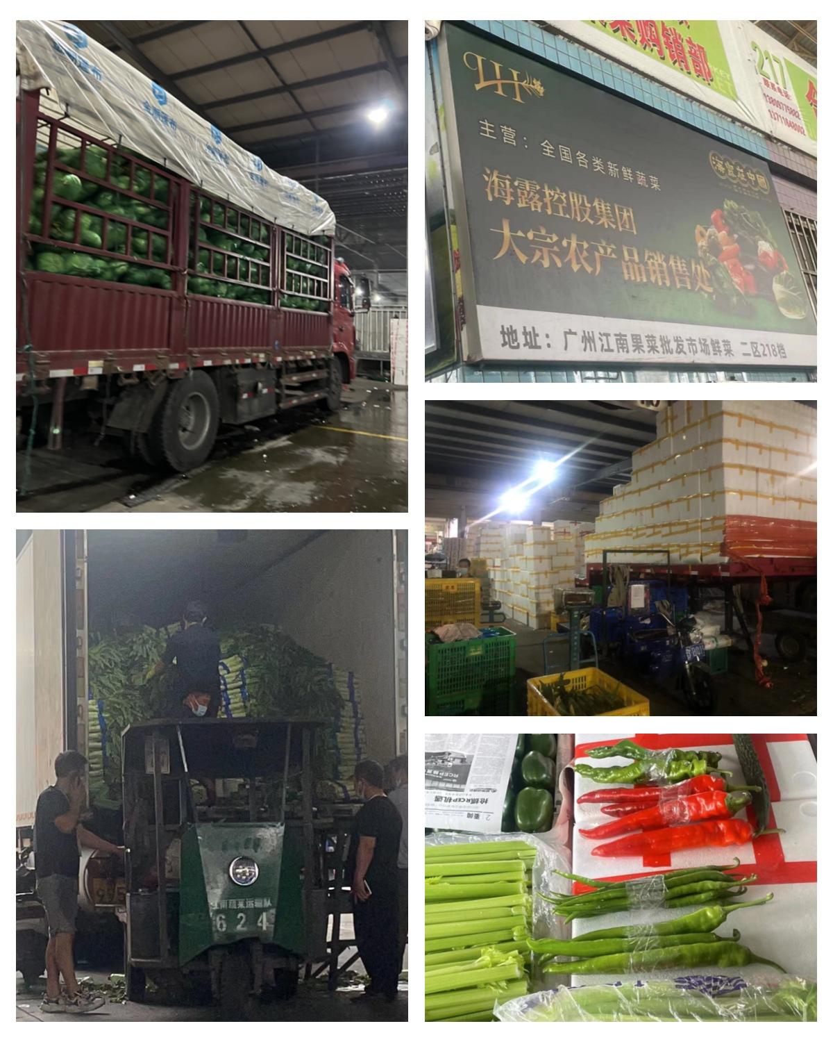 赏金船主·PG(中国游)官方网站