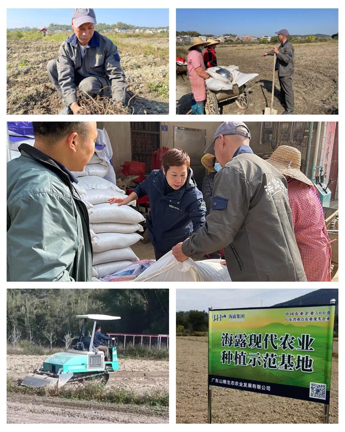 赏金船主·PG(中国游)官方网站