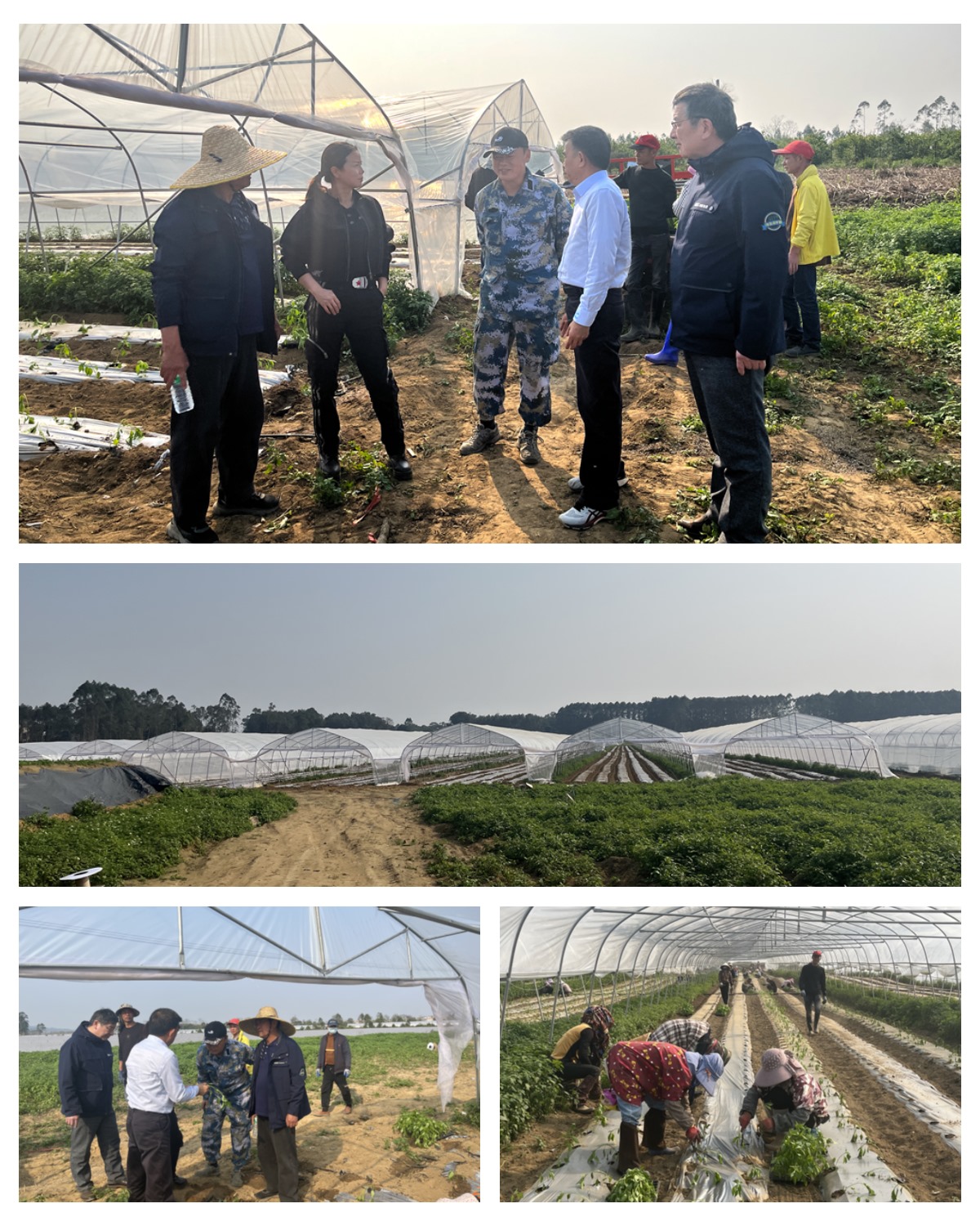 赏金船主·PG(中国游)官方网站