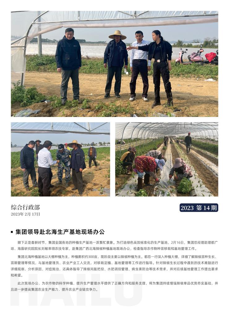 赏金船主·PG(中国游)官方网站