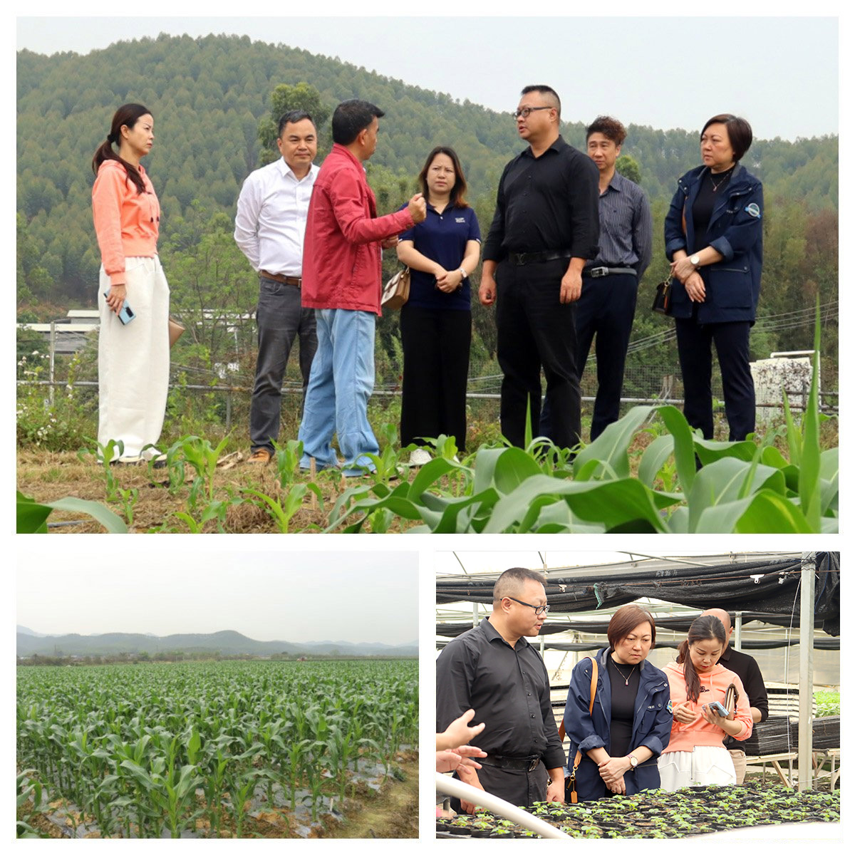 赏金船主·PG(中国游)官方网站