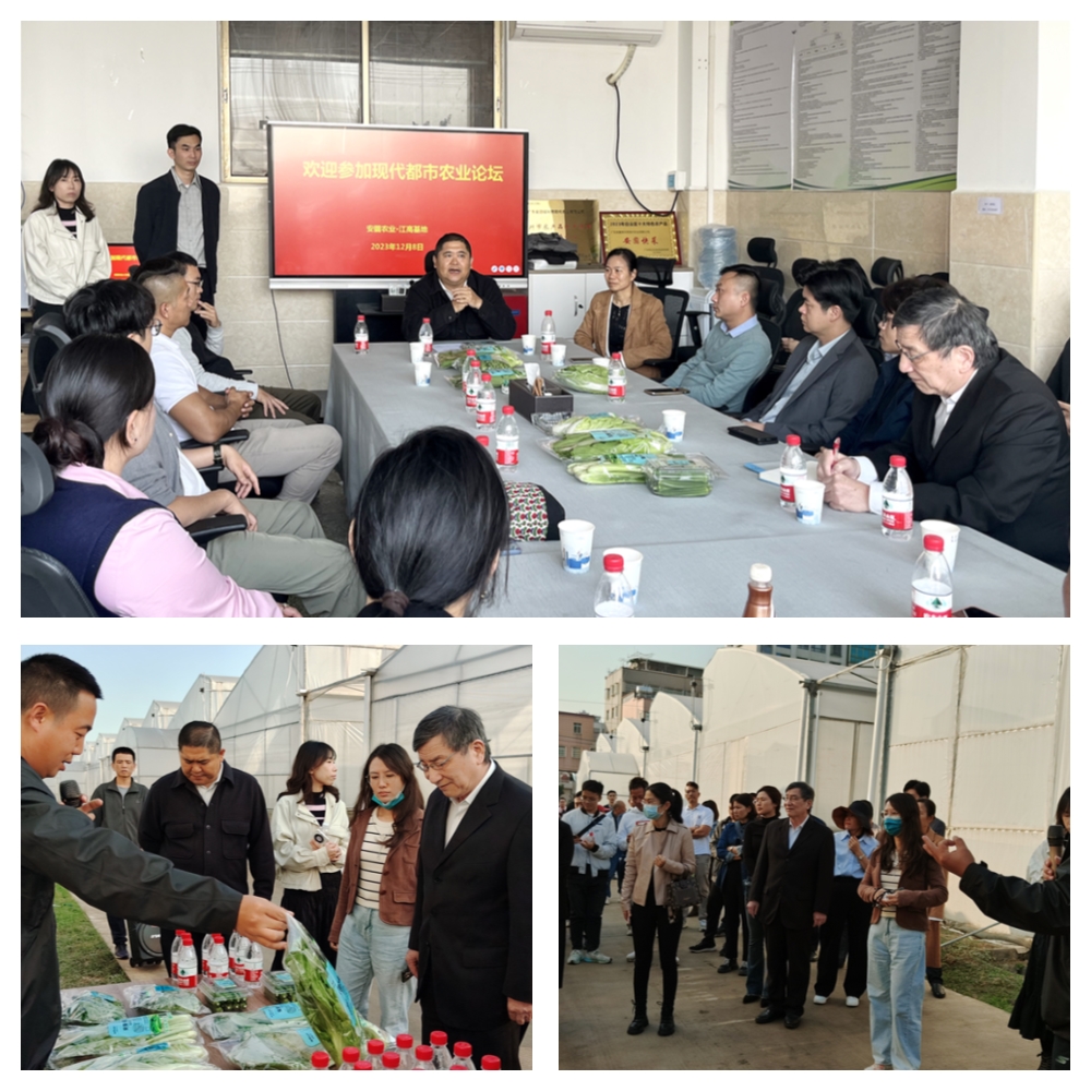 赏金船主·PG(中国游)官方网站