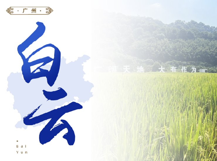 赏金船主·PG(中国游)官方网站