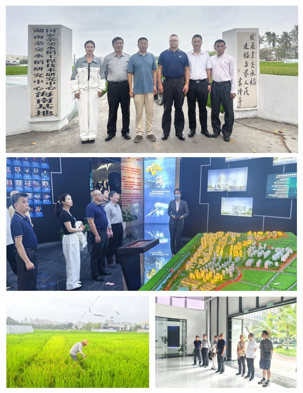 赏金船主·PG(中国游)官方网站