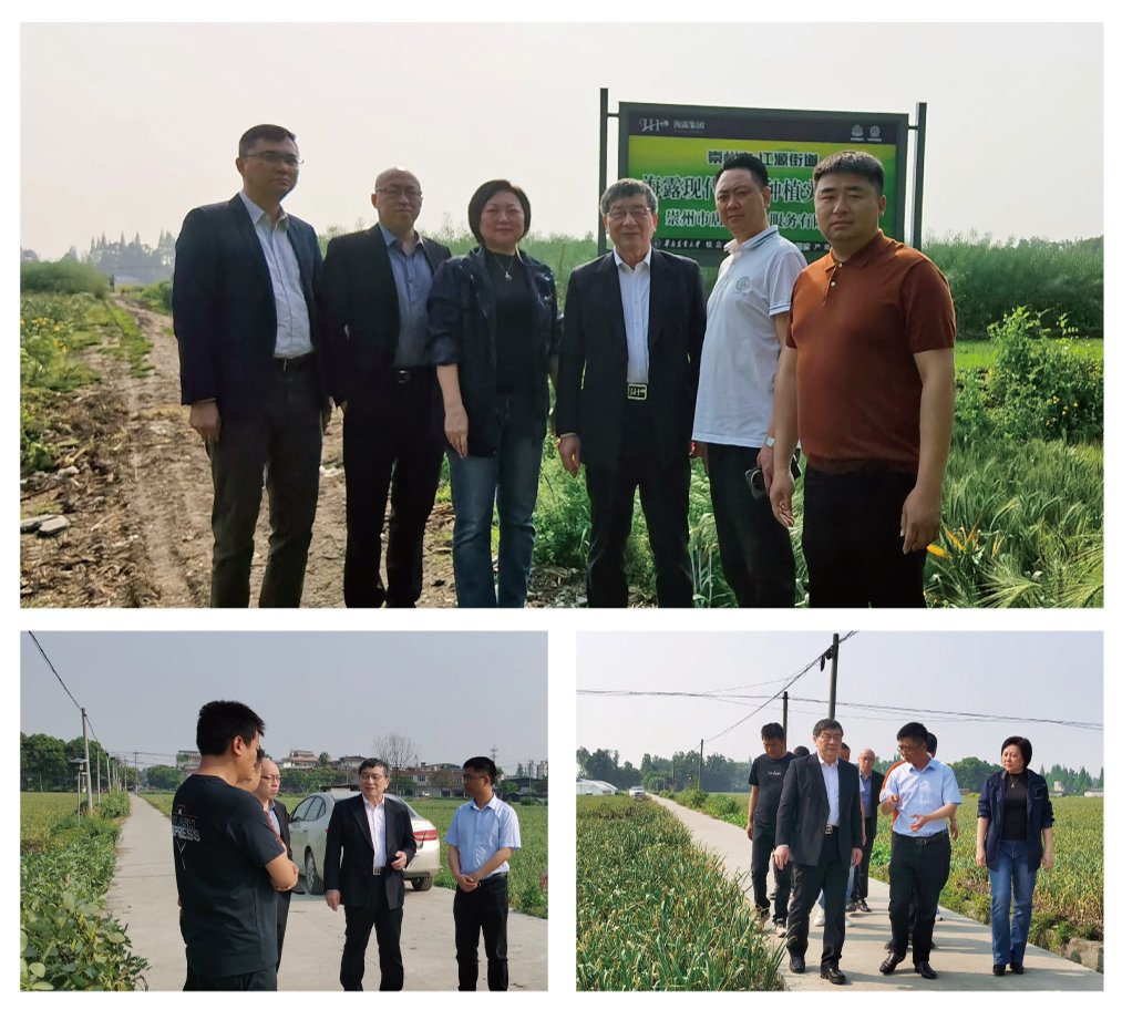 赏金船主·PG(中国游)官方网站