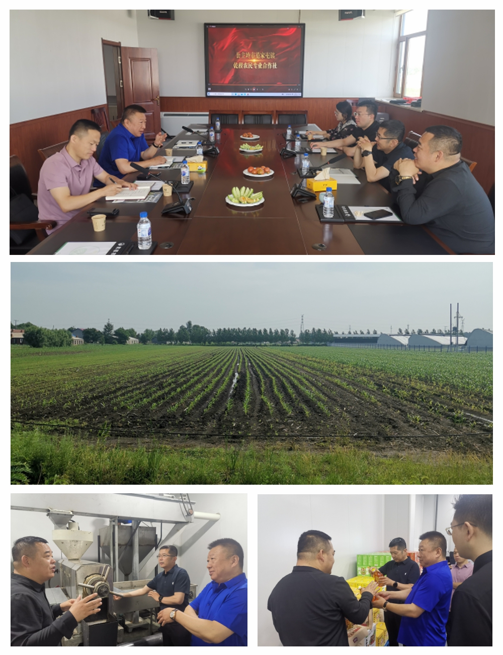 赏金船主·PG(中国游)官方网站