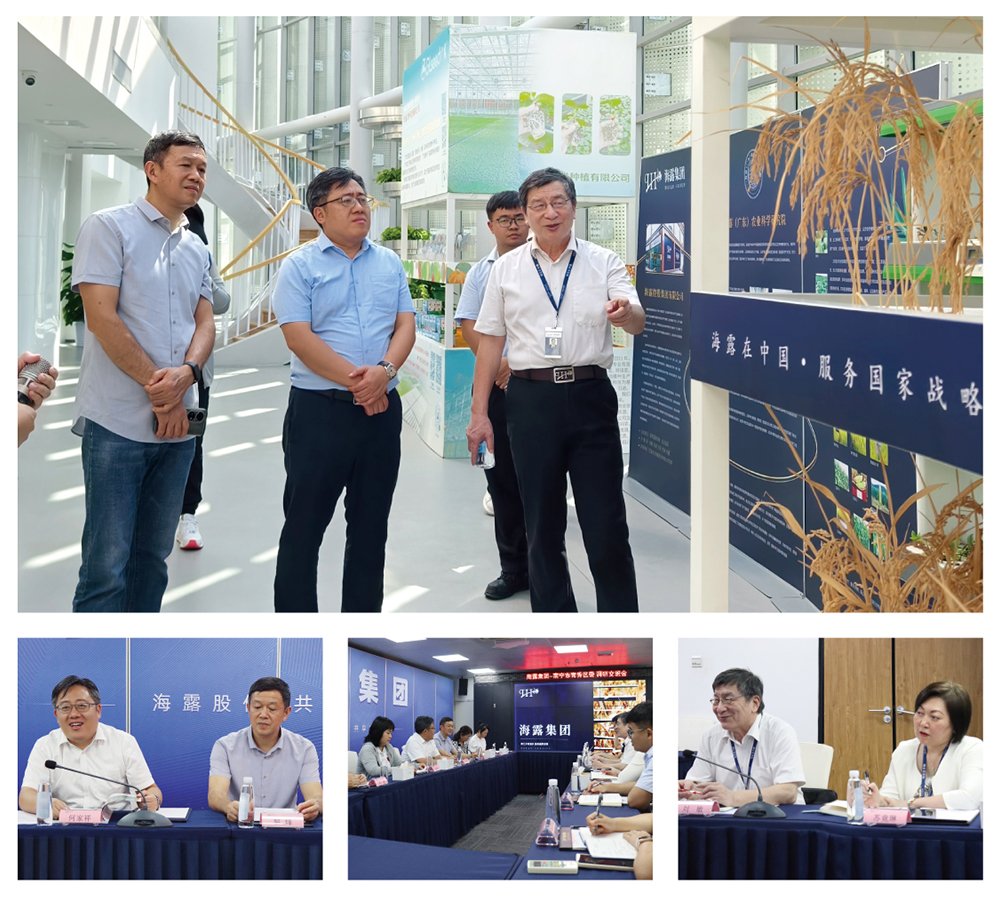 赏金船主·PG(中国游)官方网站