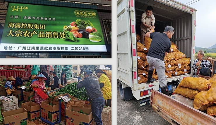 赏金船主·PG(中国游)官方网站