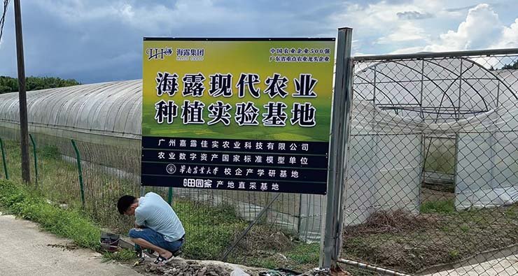 赏金船主·PG(中国游)官方网站